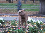 2012-10-07_18-52-30_DSCF5689.jpg