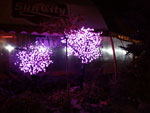 2012-10-14_05-08-40_2012-10-14-05.08.40.jpg