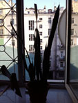 2012-10-22_16-22-38_2012-10-22-16.22.38.jpg