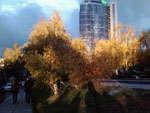Photos