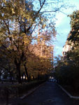 2012-10-24_17-11-52_2012-10-24-17.11.52.jpg