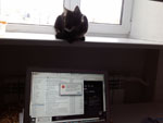 2012-10-26_12-16-49_2012-10-26-12.16.49.jpg