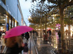 2012-11-02_16-56-15_IMGP0135.jpg