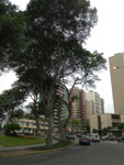 2012-11-04_15-35-38_IMGP0218.jpg