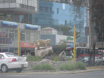 2012-11-06_15-30-52_IMGP0330.jpg