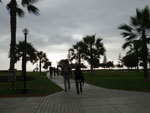2012-11-06_16-46-06_IMGP0337.jpg
