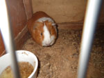 2012-11-06_17-38-58_IMGP0349.jpg