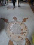 2012-11-07_06-48-36_IMGP0359.jpg