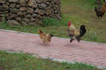 2012-11-07_17-13-26_DSC_6504.jpg
