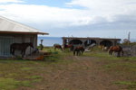 2012-11-07_17-24-27_DSC_6509.jpg