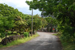 2012-11-07_17-28-48_DSC_6517.jpg