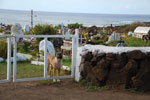 2012-11-07_18-07-47_DSC_6590.jpg