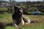 2012-11-07_18-14-15_DSC_6599.jpg