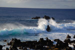 2012-11-07_19-41-16_DSC_6650.jpg