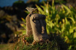 2012-11-07_20-03-09_DSC_6668.jpg
