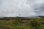 2012-11-08_11-21-10_DSC_6678.jpg
