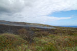 2012-11-08_11-23-13_DSC_6693.jpg