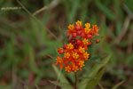 2012-11-08_11-25-32_DSC_6714.jpg