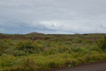 2012-11-08_11-26-04_DSC_6715.jpg