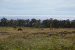 2012-11-08_11-29-52_DSC_6729.jpg