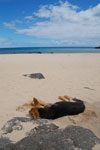2012-11-08_12-04-20_DSC_6778.jpg