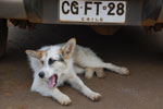 2012-11-08_12-22-18_DSC_6791.jpg