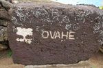 2012-11-08_12-30-50_DSC_6793.jpg