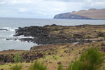2012-11-08_12-31-03_DSC_6794.jpg