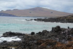 2012-11-08_12-38-23_DSC_6831.jpg