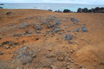 2012-11-08_12-39-00_DSC_6832.jpg