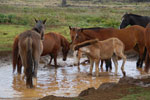 2012-11-08_13-12-13_DSC_6854.jpg
