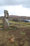 2012-11-08_13-58-56_DSC_6908.jpg
