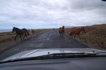 2012-11-08_14-26-15_DSC_6914.jpg
