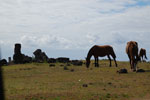 2012-11-09_11-01-56_DSC_6974.jpg