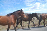 2012-11-09_11-03-42_DSC_6978.jpg