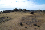 2012-11-09_11-11-13_DSC_6982.jpg