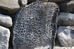 2012-11-09_11-14-43_DSC_6989.jpg