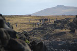 2012-11-09_11-16-34_DSC_7003.jpg