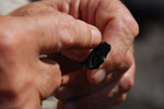 2012-11-09_11-19-07_DSC_7007.jpg
