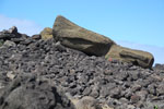 2012-11-09_11-23-38_DSC_7017.jpg