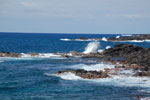 2012-11-09_11-35-53_DSC_7026.jpg