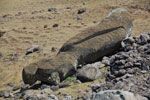 2012-11-09_11-37-09_DSC_7028.jpg