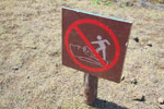 2012-11-09_11-37-45_DSC_7029.jpg