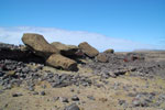 2012-11-09_11-41-06_DSC_7031.jpg
