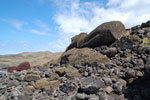 2012-11-09_11-52-47_DSC_7052.jpg