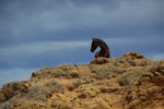 2012-11-09_13-00-29_DSC_7087.jpg