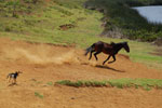 2012-11-09_13-00-58_DSC_7093.jpg