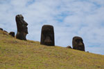 2012-11-09_13-37-02_DSC_7155.jpg