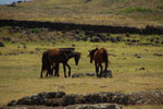 2012-11-09_15-15-57_DSC_7310.jpg