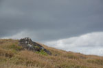 2012-11-10_14-27-42_DSC_7546.jpg